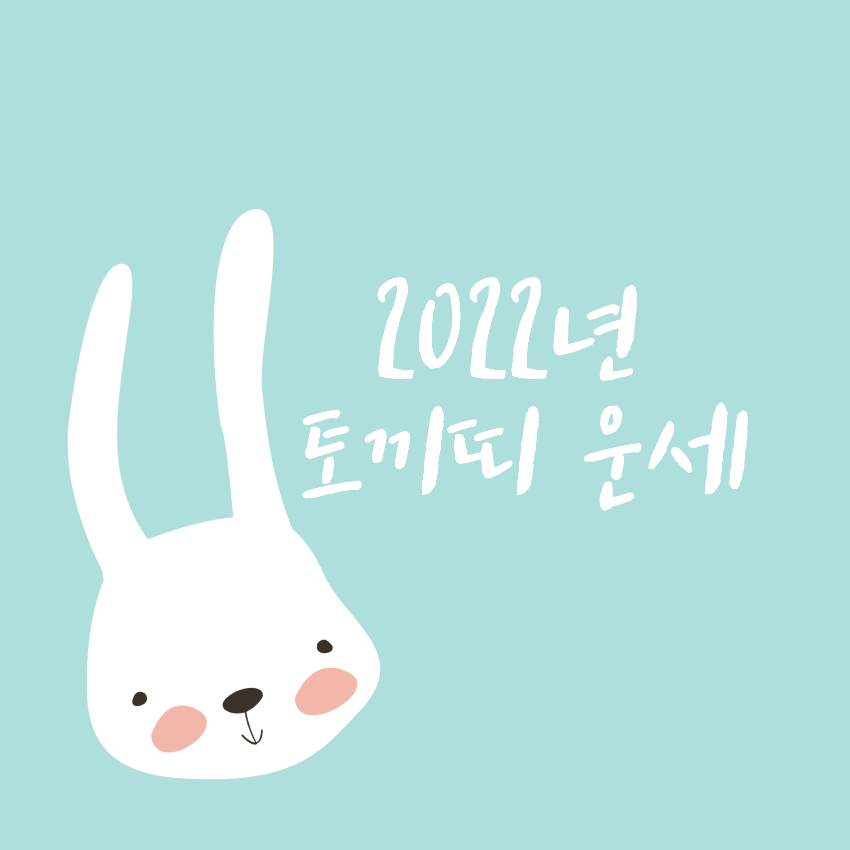 2022년 토끼띠 운세