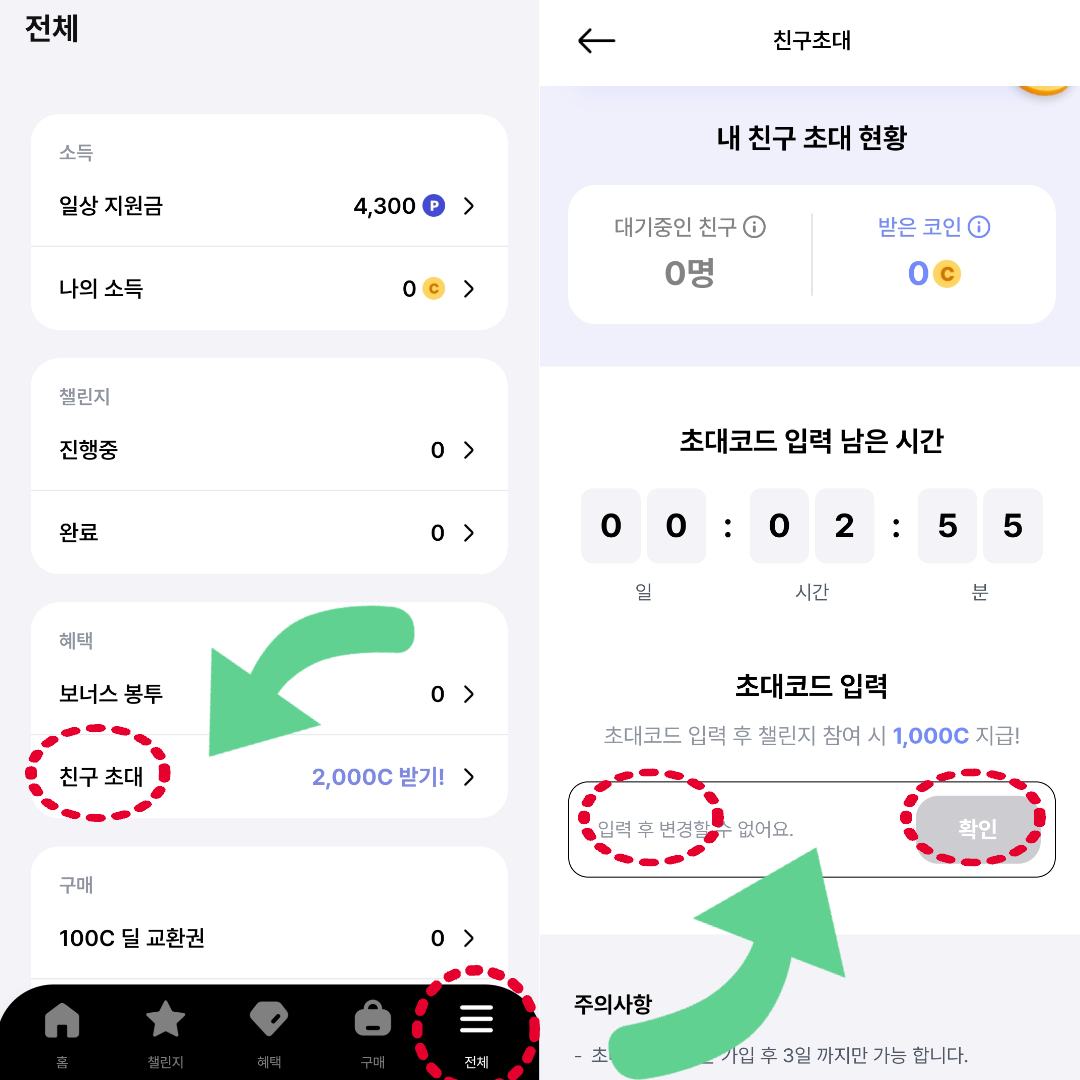 전국민 일상지원금 발로소득
