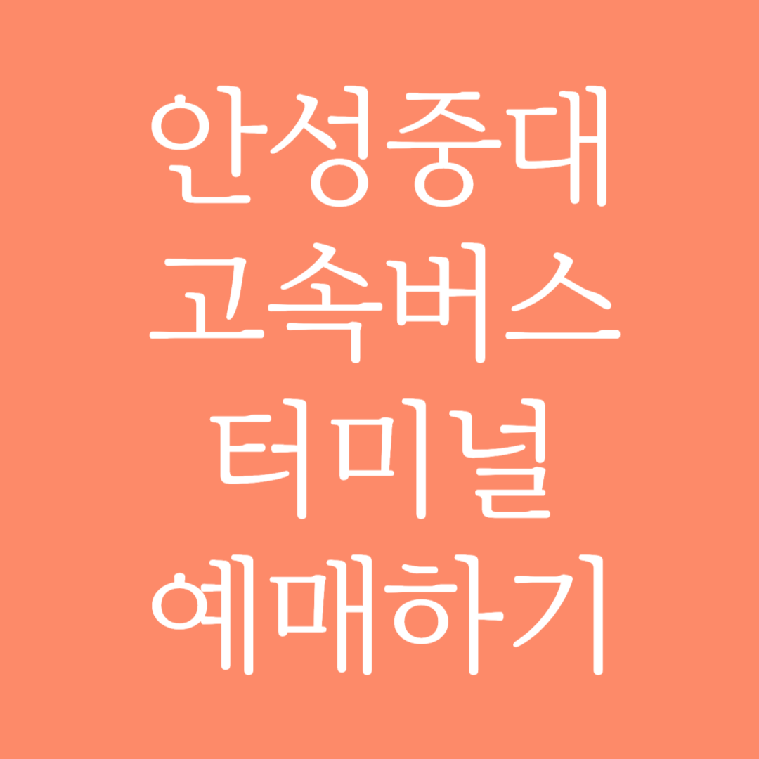안성중대 실시간 고속버스터미널 시간표 조회 및 예매하기