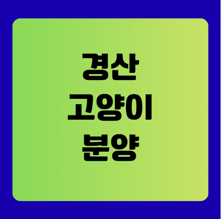 경산 고양이 분양(분양샵 및 유기묘 입양처)