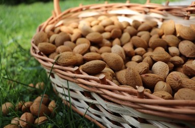 당뇨에 좋은 음식