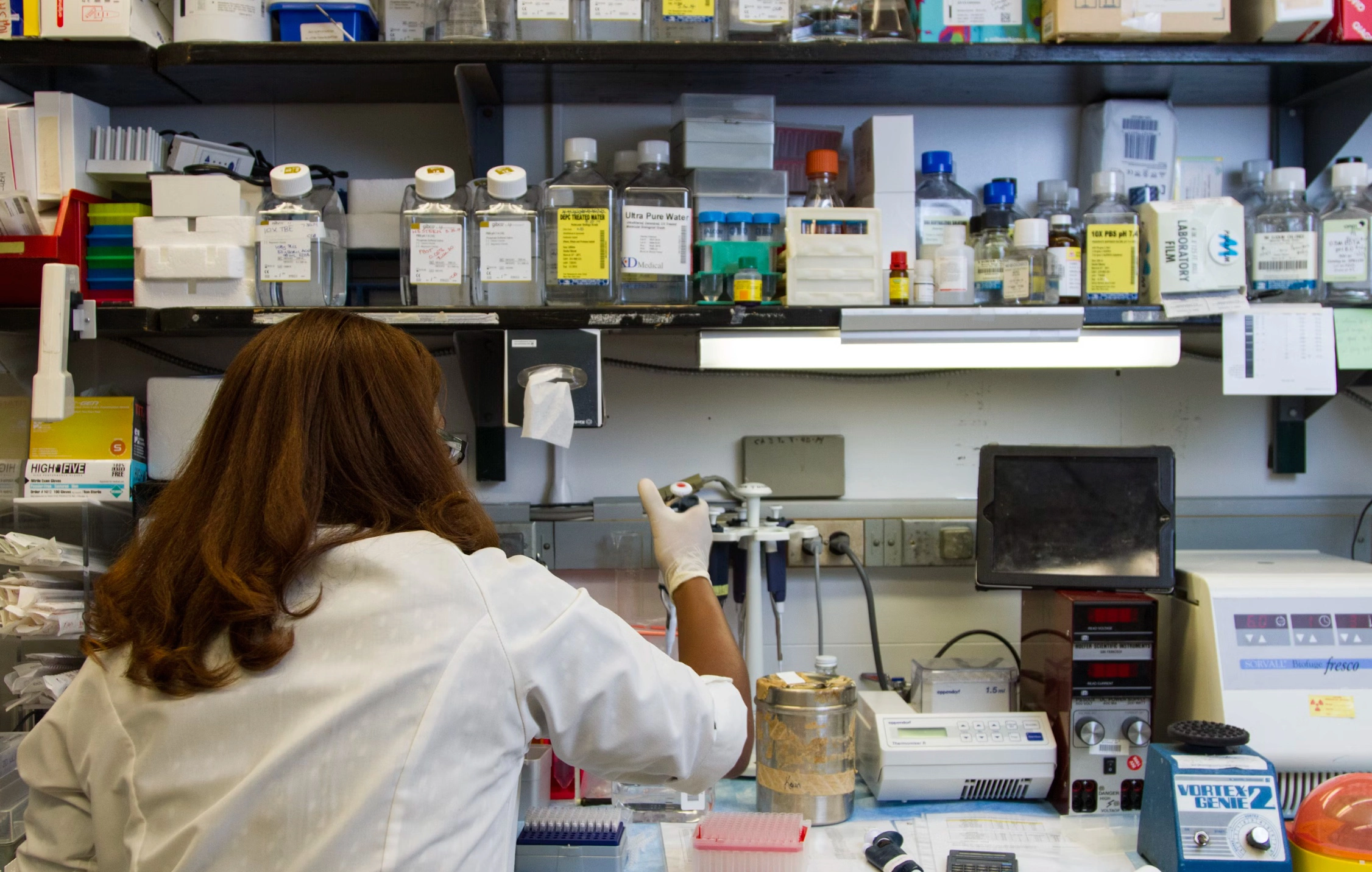 쯔쯔가무시병 물린자국