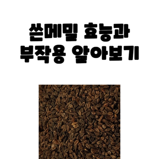 쓴메밀 효능과 부작용