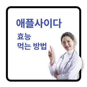 애플사이다효능