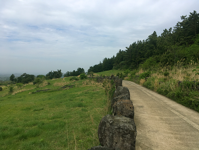 금오름-가는길8