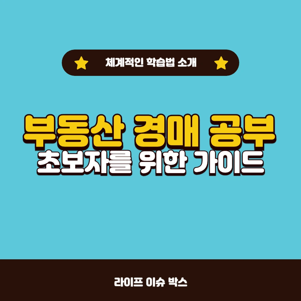 경매 공부, 성공적인 시작