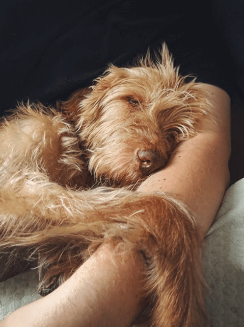 일상의 균형을 되찾는 느림의 루틴