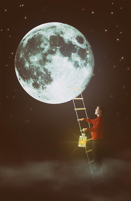 똥이 발에 묻는 꿈 해몽(똥꿈해몽풀이&amp;#44; 무료꿈해몽풀이)