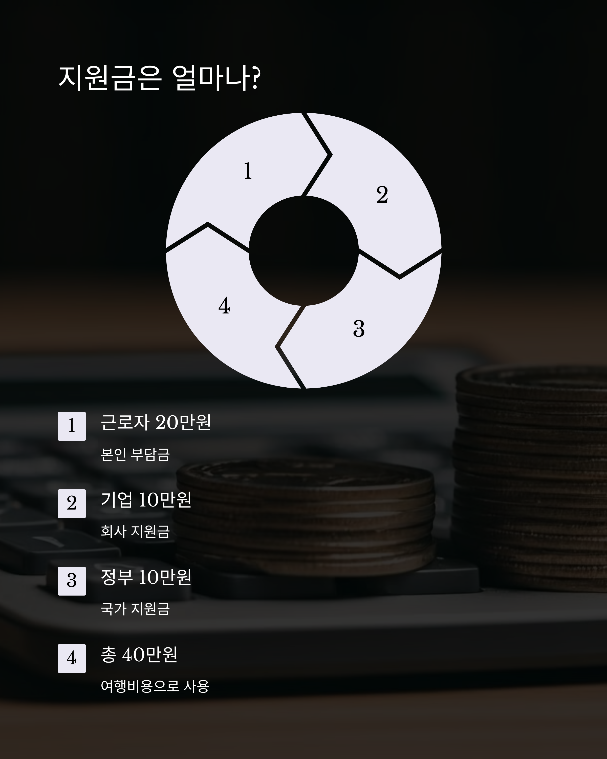 휴가지원금제도