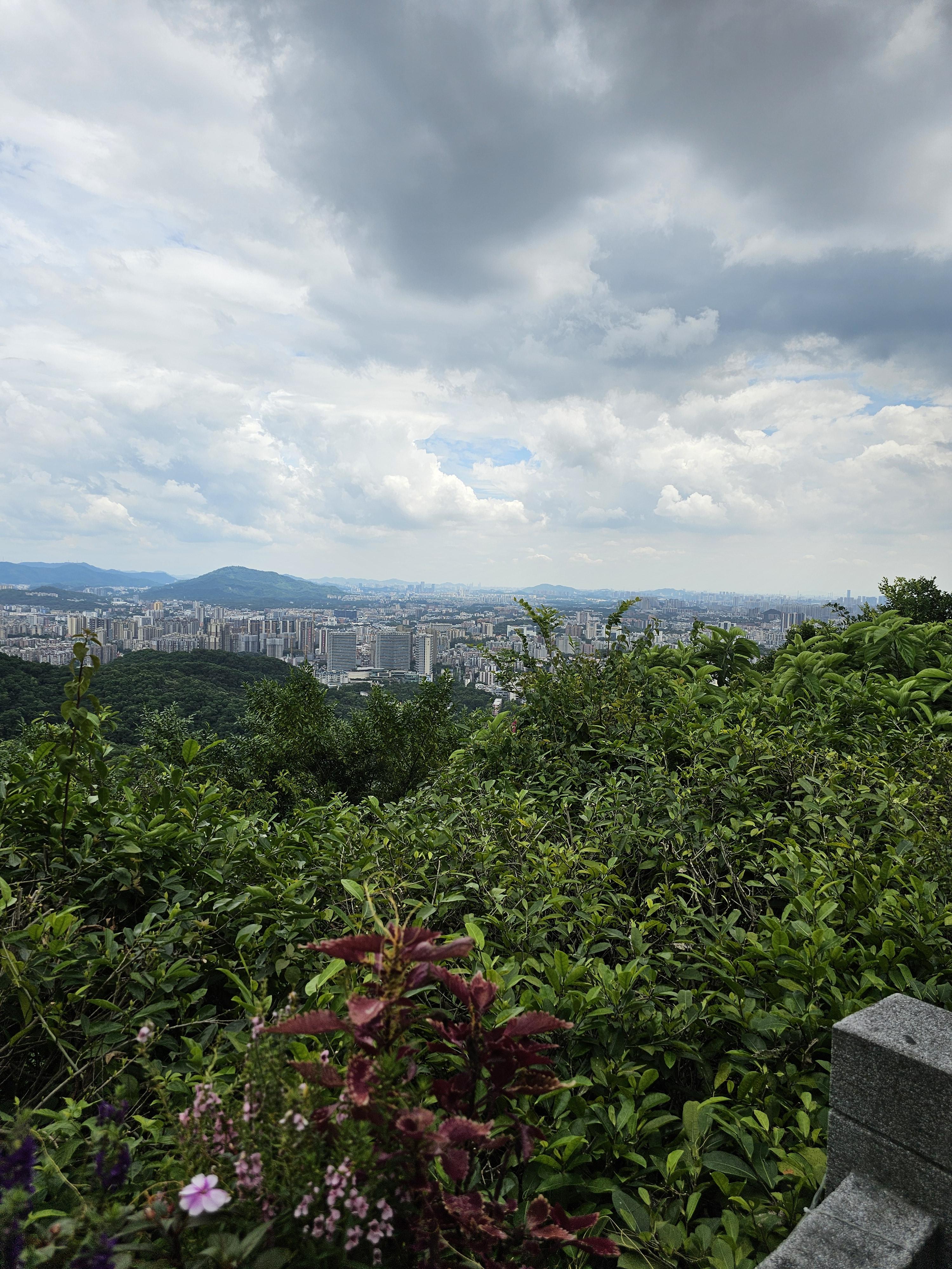 바이윈산맛집 Greenery