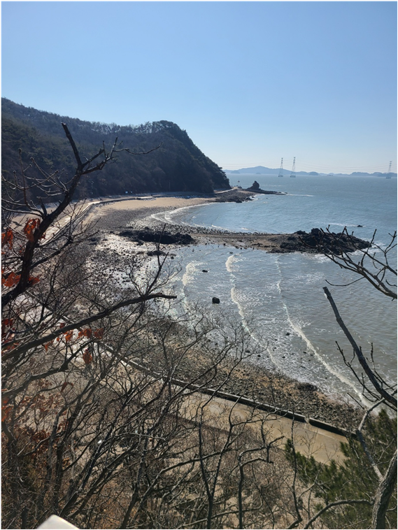 대부해솔길 해안산책로