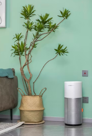 미세먼지 최악인 날&amp;#44; 공기청정기 제대로 쓰는 법