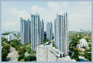 고층 빌딩과 숲