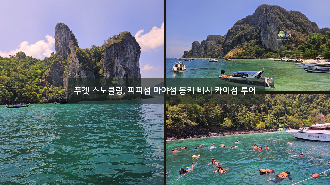 푸켓 스노클링, 피피섬 마야섬 몽키 비치 카이섬 투어 리뷰 코스 가격