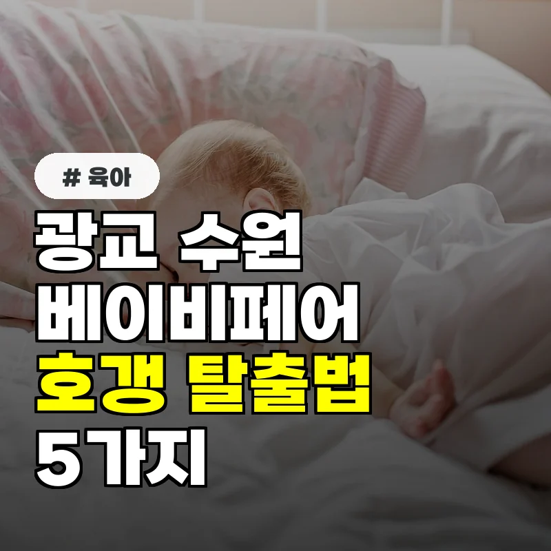 광교 수원 베이비페어, 놓치기 쉬운 호갱 탈출법 5가지