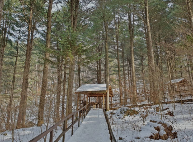 국립-청태산자연휴양림03