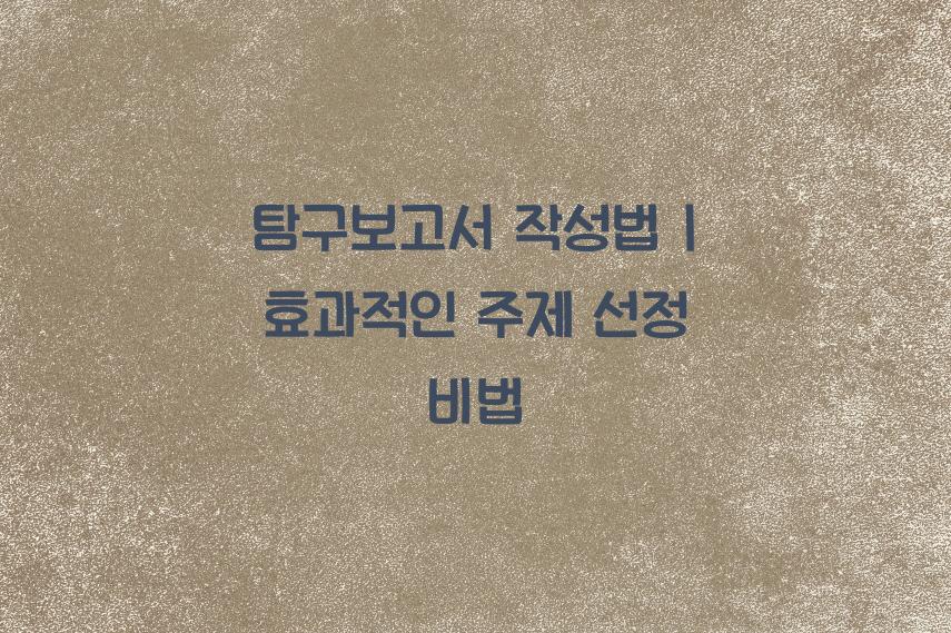 탐구보고서