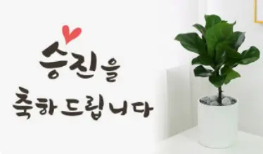 승진 진급 축하 메시지 모음