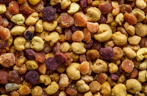 프로폴리스 효능, 부작용, 복용법 총정리 (2024ver)