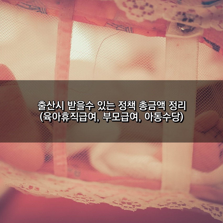 출산 정책 총금액 정리