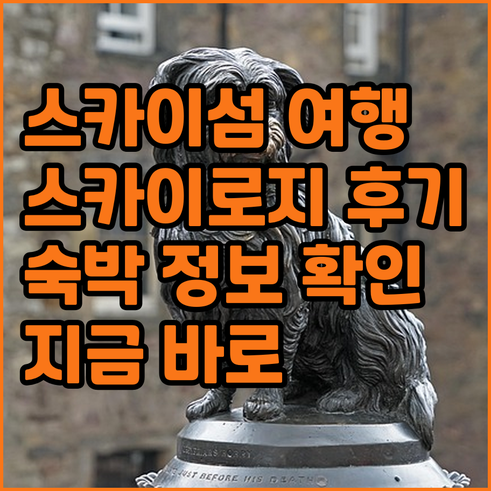 스카이섬 여행 스카이 로지 후기 숙박