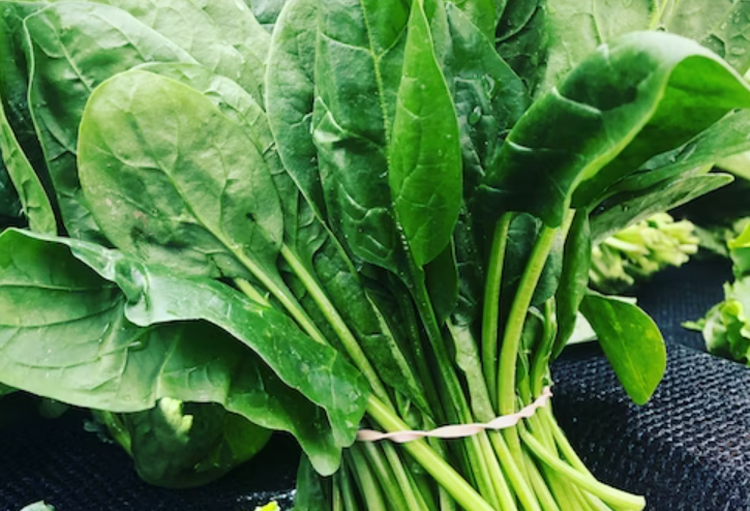 역류성식도염에 좋은 음식