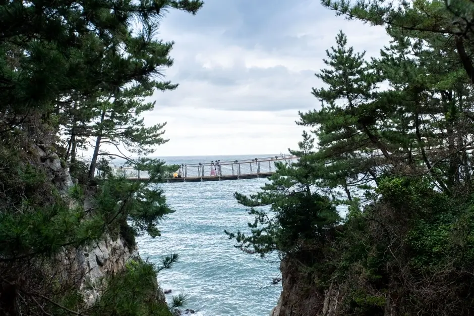 65c0be9b-706b-46ea-89c9-6e209a5dd202