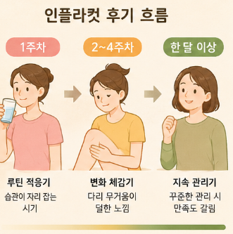 인플라컷-효능-먹는법-성분-부작용-가격-구매-후기