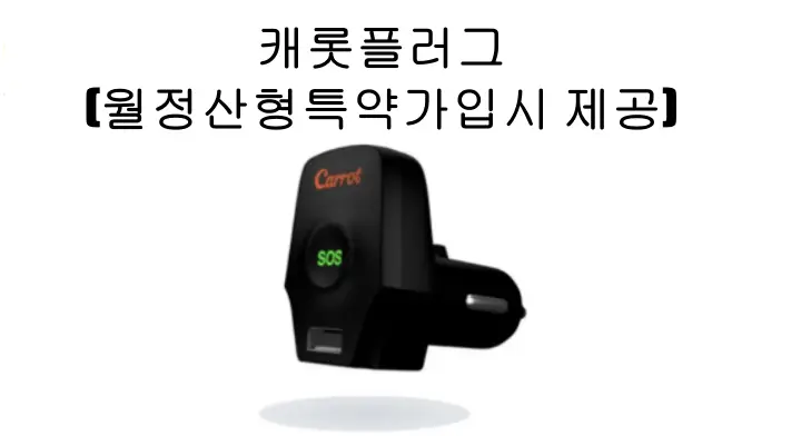캐롯플러그-사진