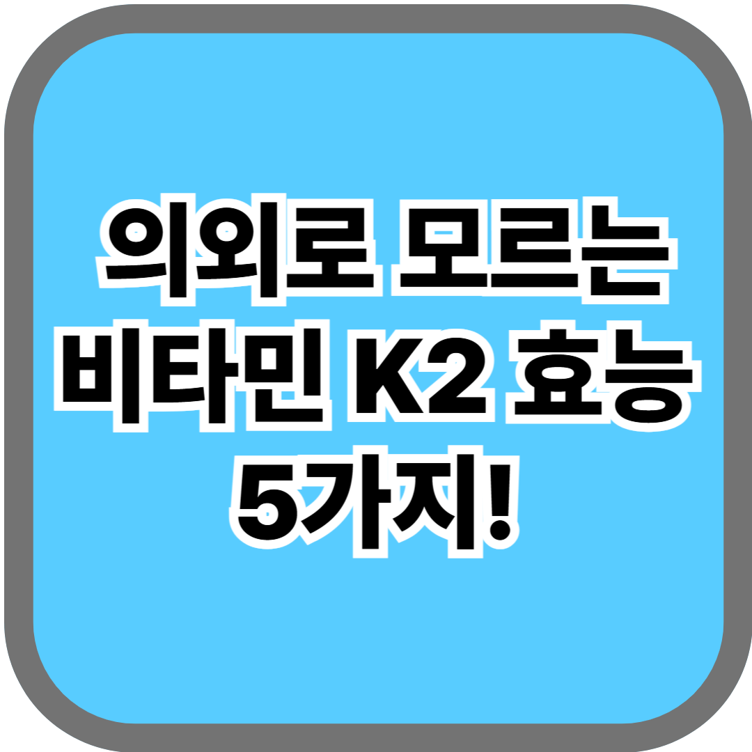 의외로 모르는 비타민 K2 효능 5가지 (뼈 건강 흡수 법 완전 정복)
