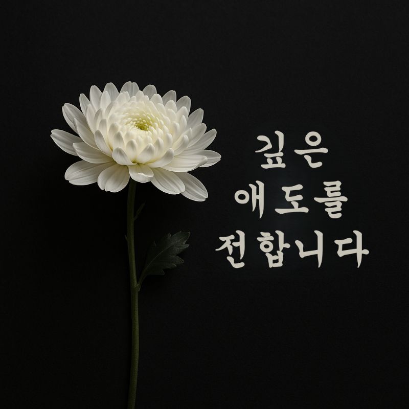 조문 위로 문자 이미지