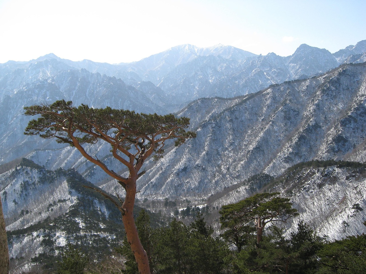 설악산 케이블카 예약