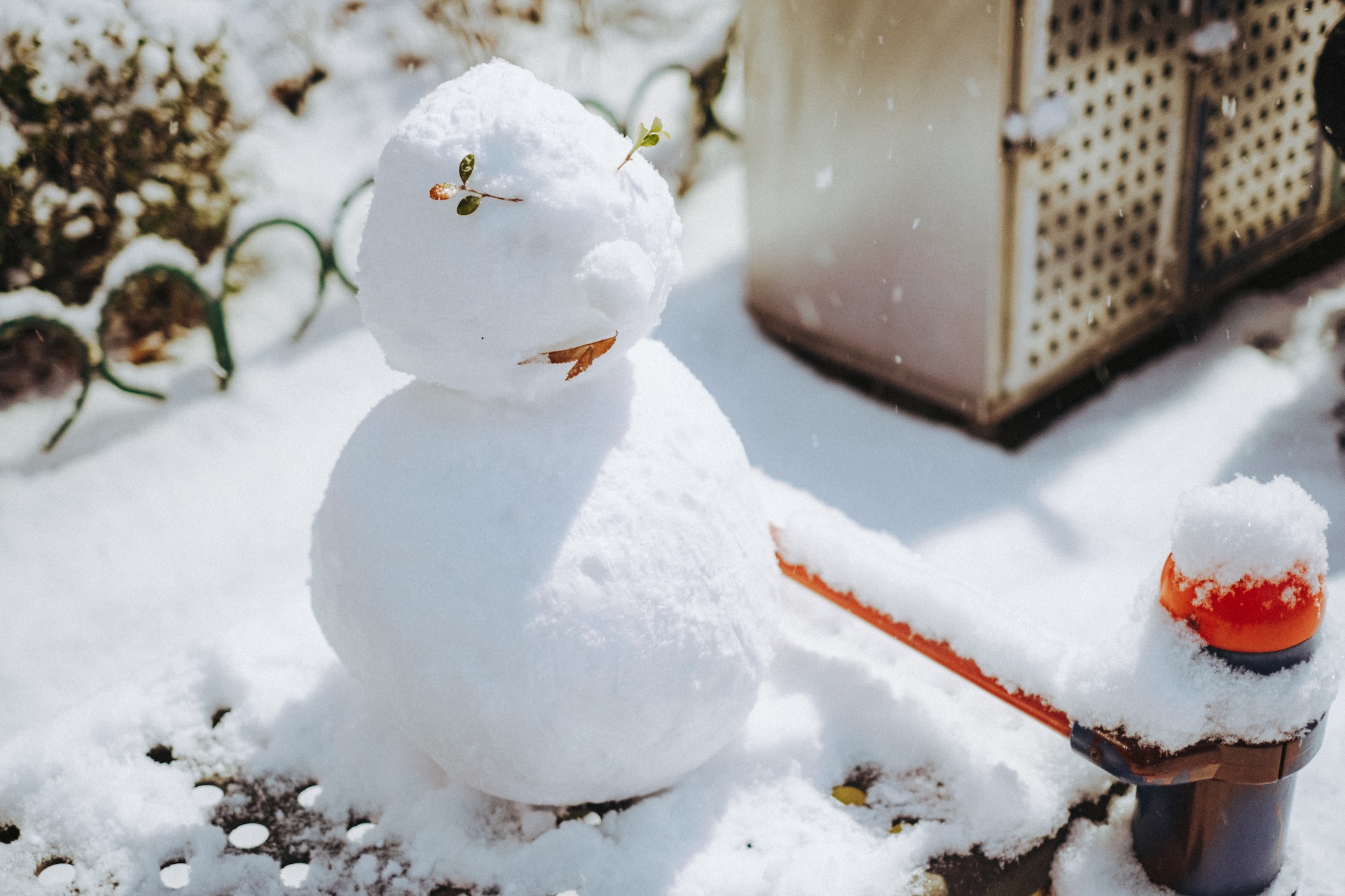 오늘의 일기 - 올해 마지막 눈사람에게 인사를...