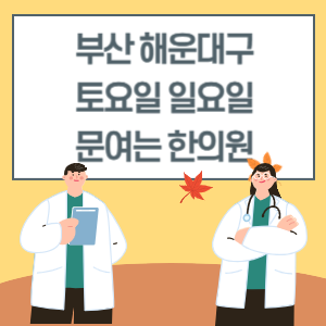 부산 해운대구 토요일 일요일 한의원 진료 병원 리스트