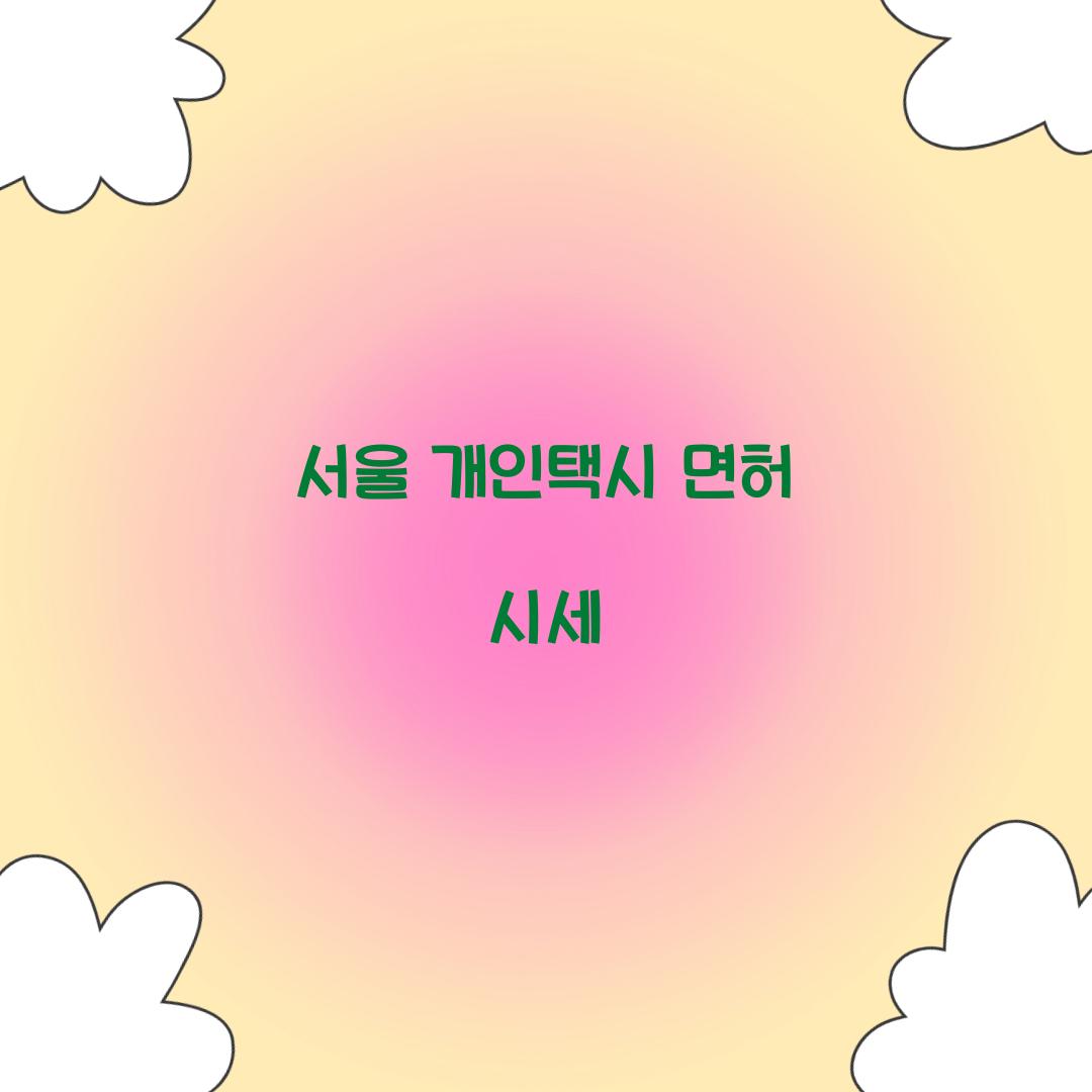 서울 개인택시 면허 시세