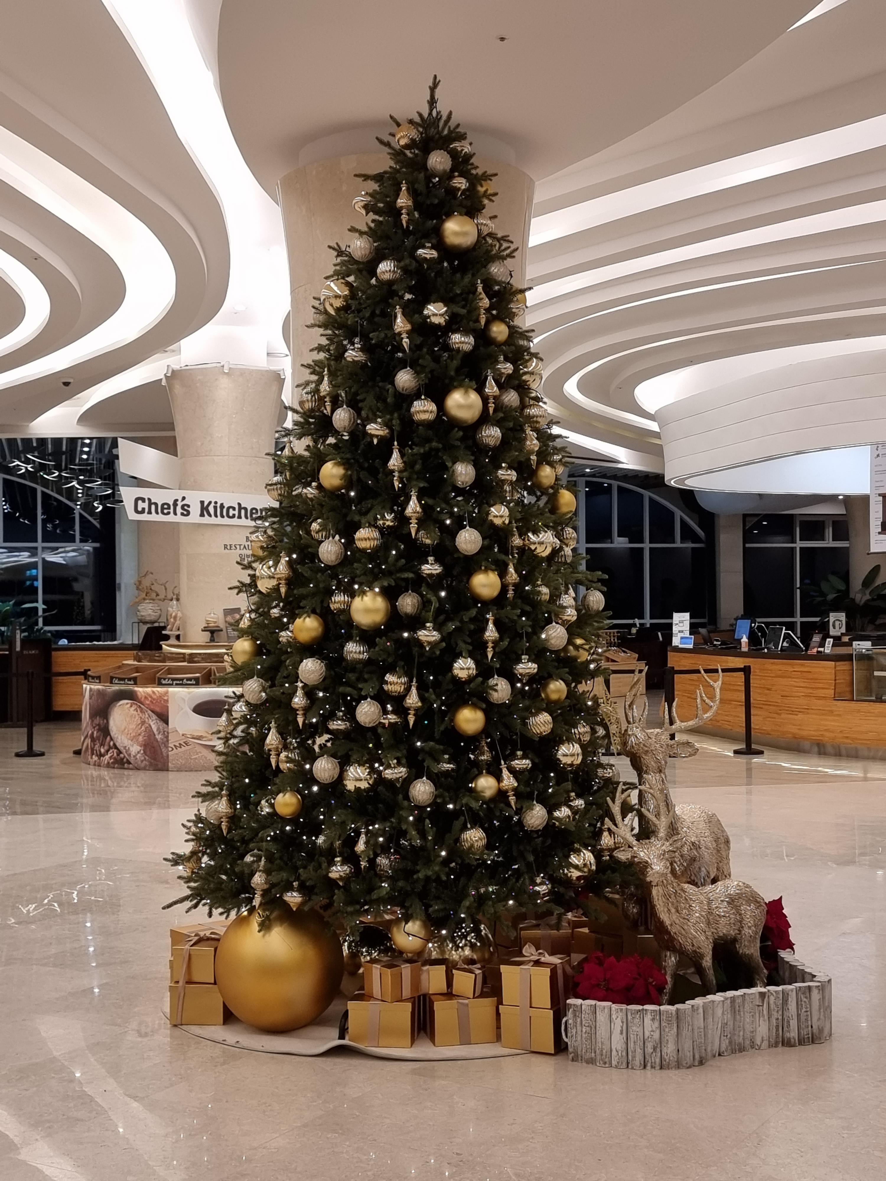 리조트 내 크리스마스 트리