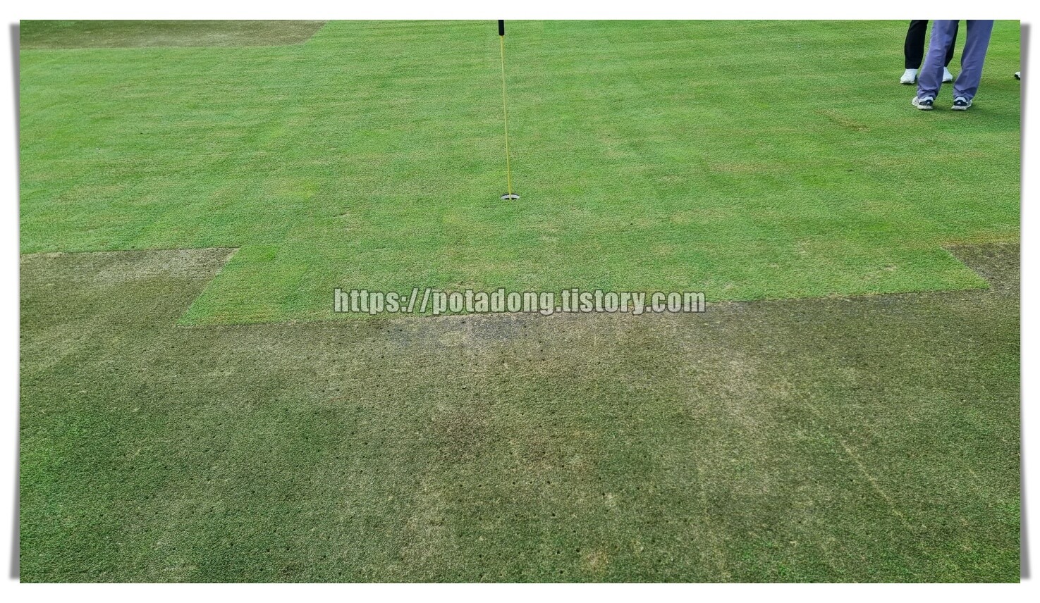 더플레이어스 CC