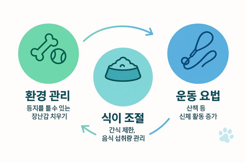 전문가들이 권장하는 상상임신 관리 방법