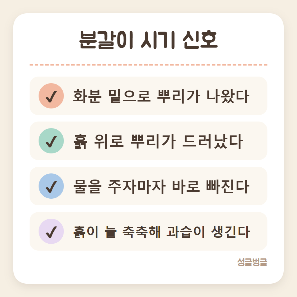분갈이 시기를 알려 주는 신호를 정리한 확인 카드