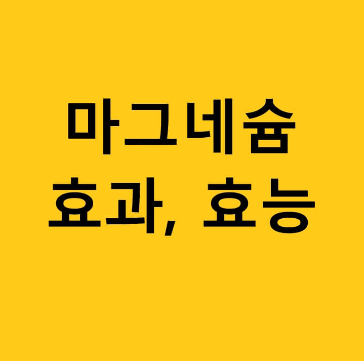 마그네슘-효과를-글로-쓴-사진