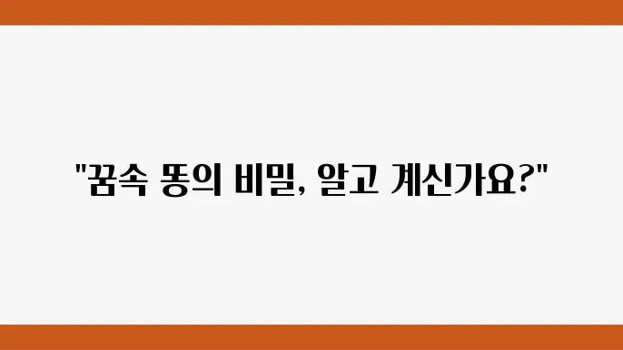 똥을싸는꿈 해몽 꿈에서 똥을 싸는 것의 의미는 정리