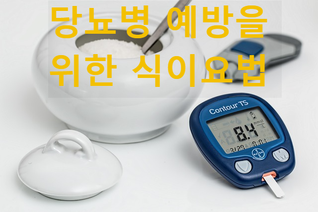 당뇨병 예방을 위한 식이요법