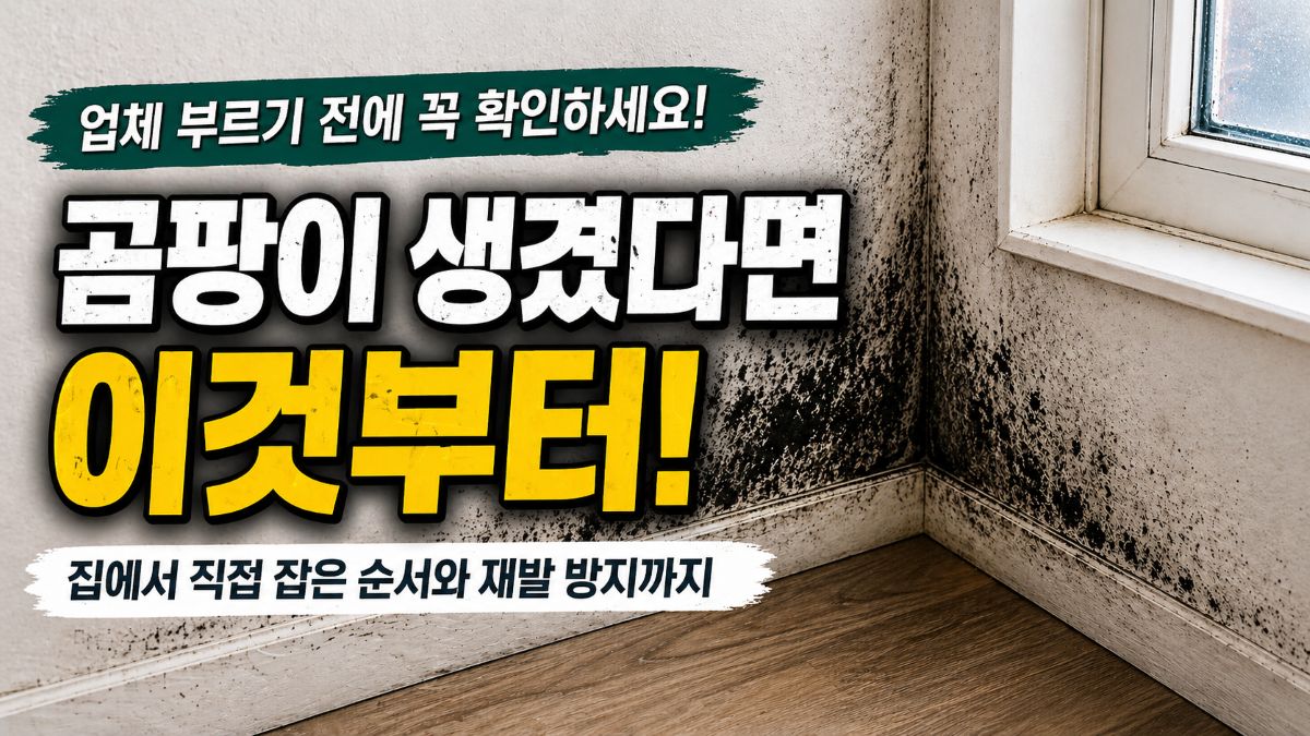 장마 후 벽 모서리에 생긴 검은 곰팡이와 업체 부르기 전 확인 방법 안내 썸네일