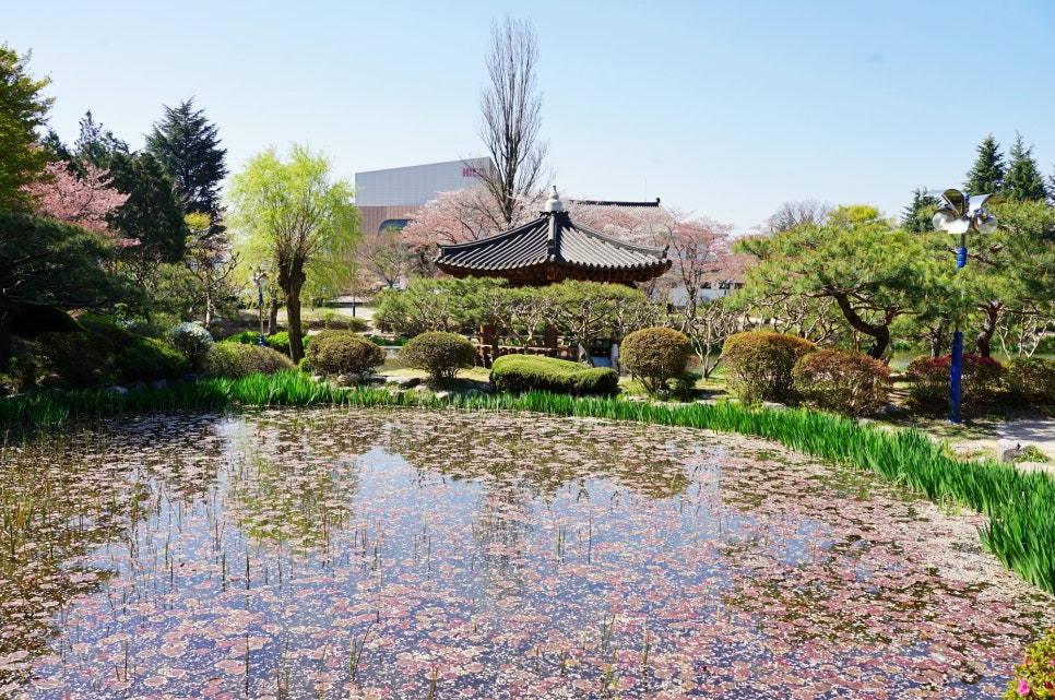 벚꽃명소