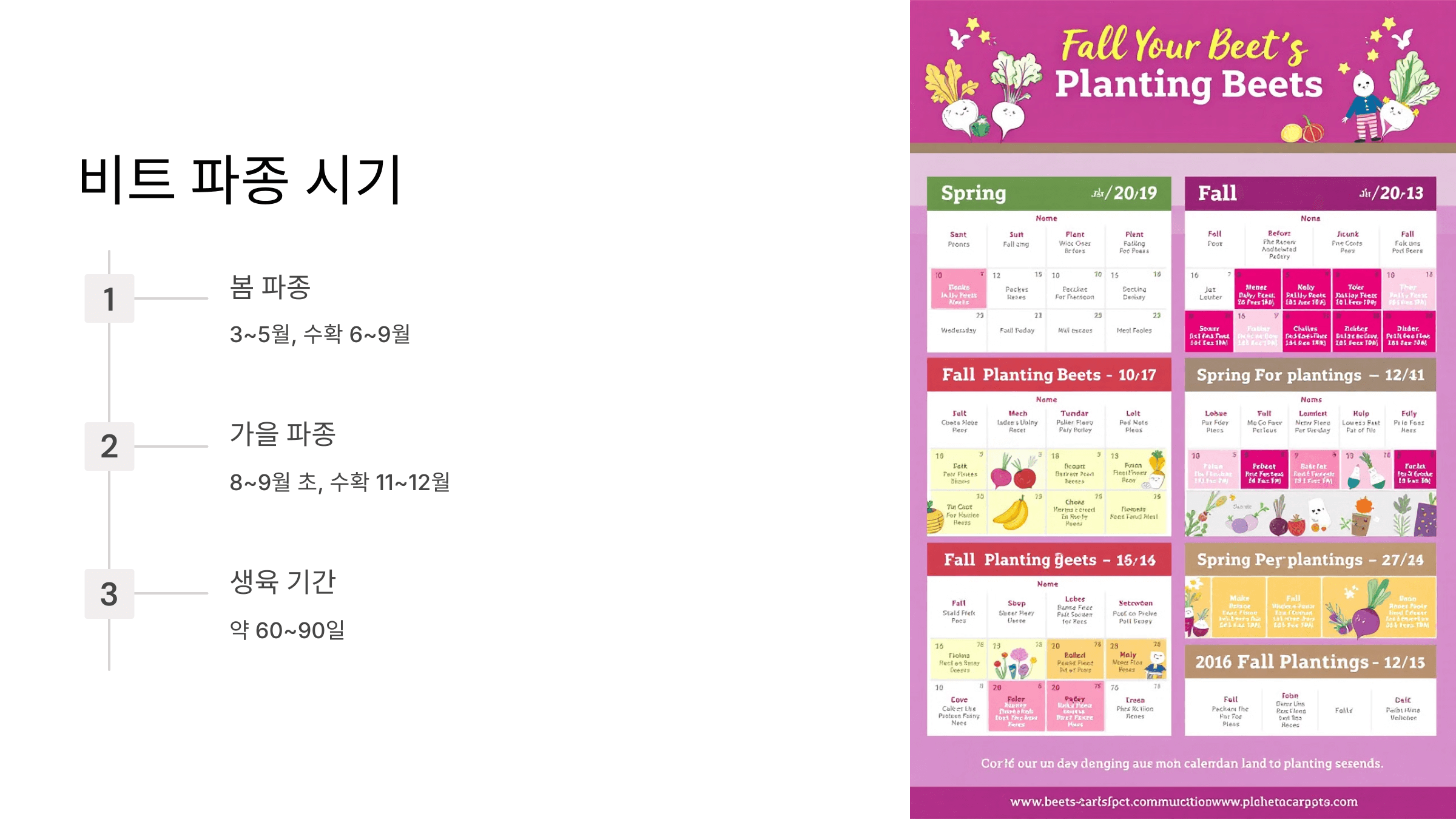 비트 사진입니다.