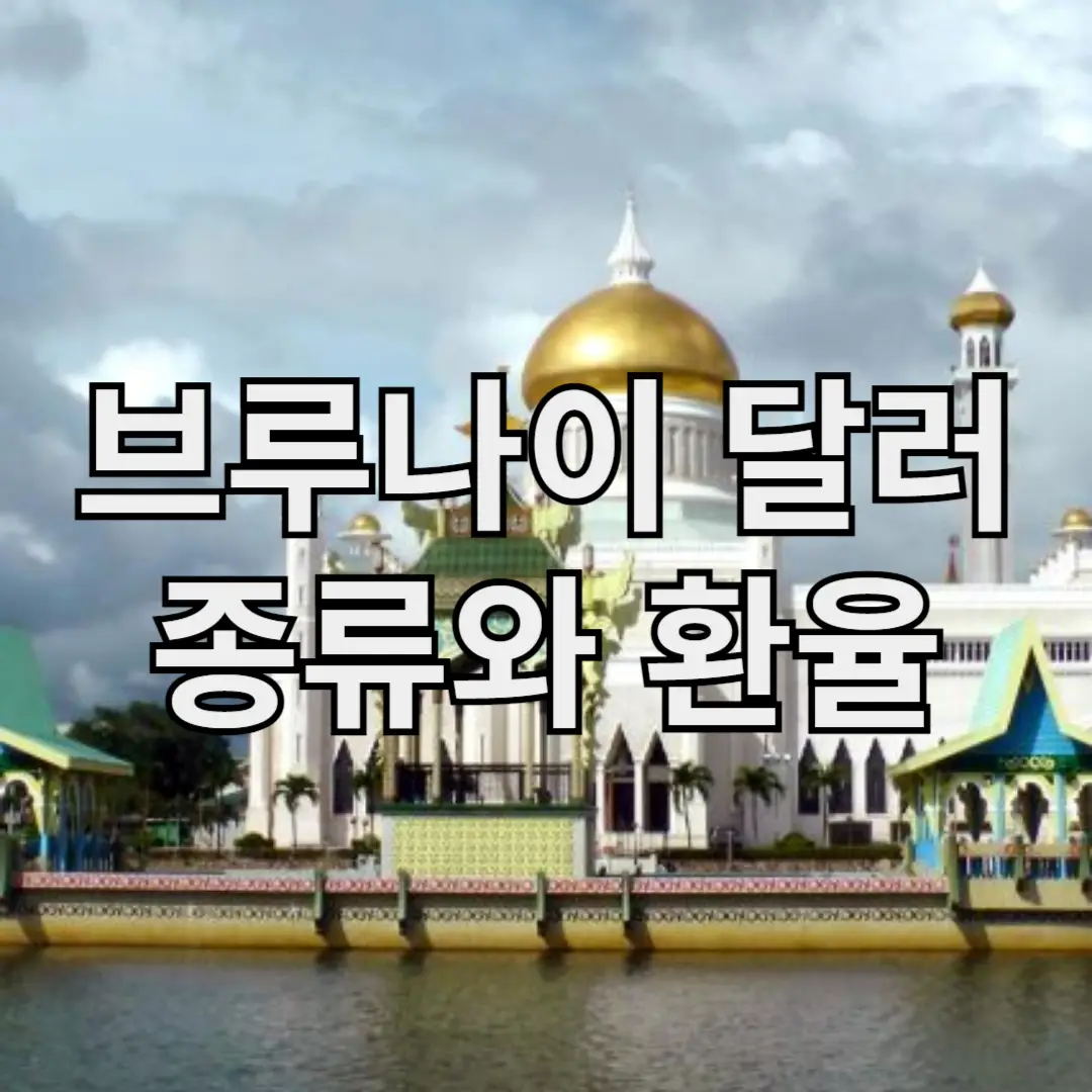 브루나이 달러 종류와 환율