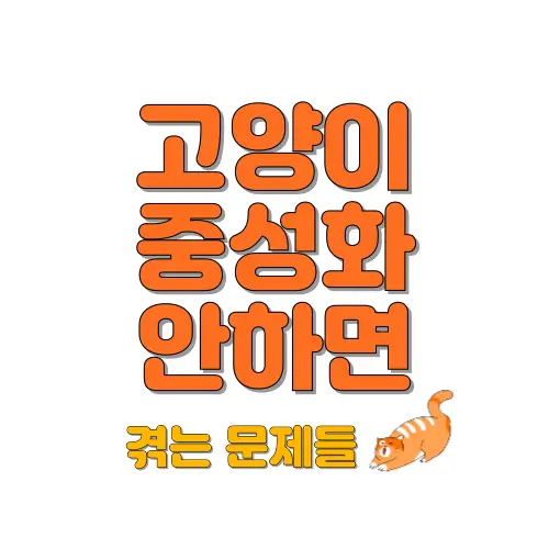 고양이 중성화 썸네일