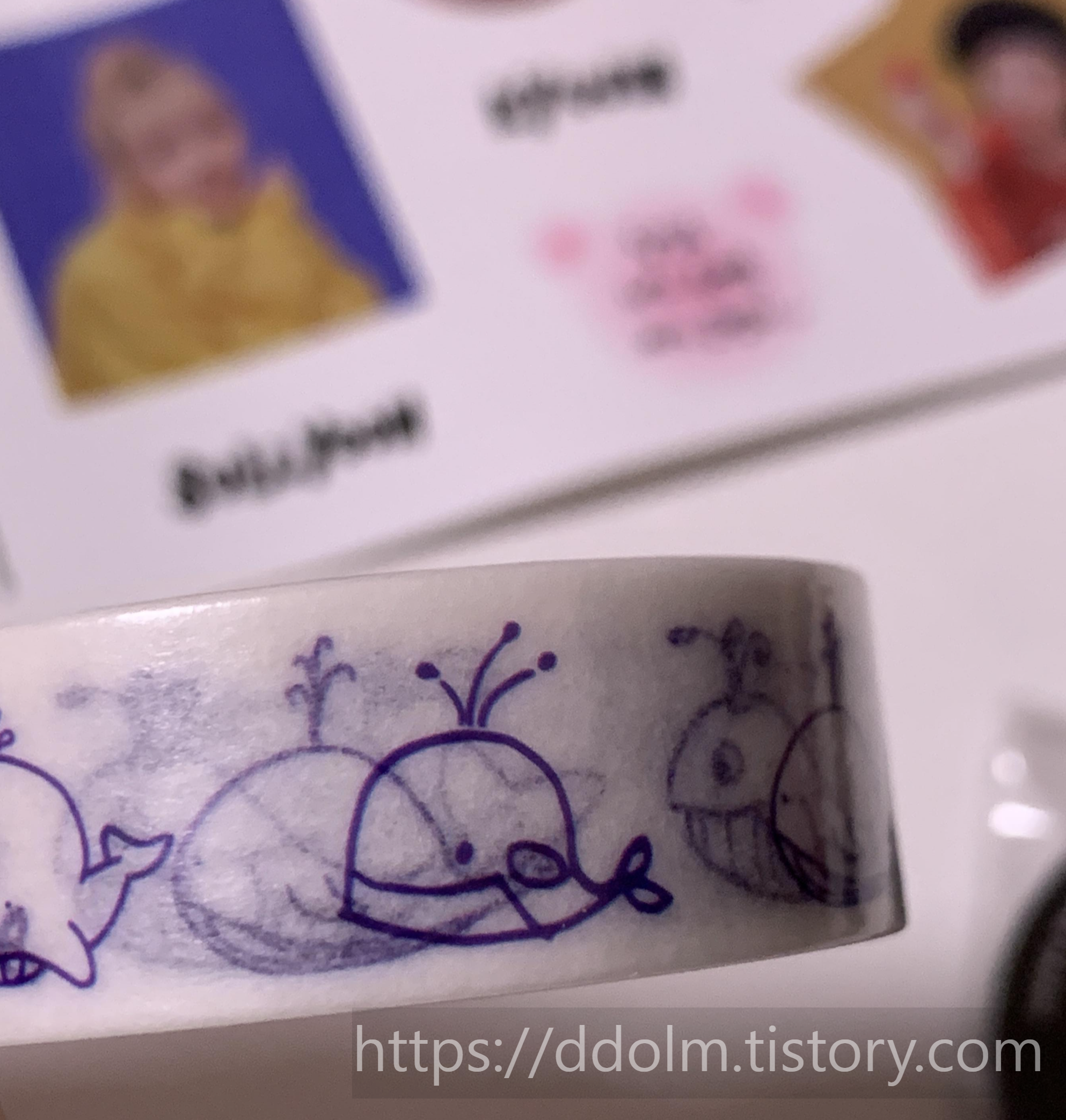 엔믹스 NMIXX 엔써 2기 키트