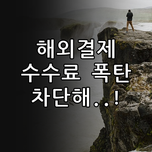 원화 결제 차단 서비스 활용법 및 해..