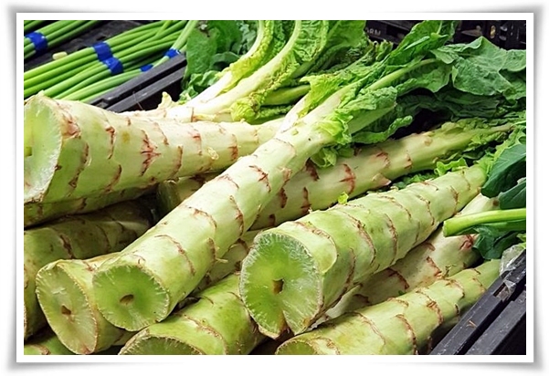 텃밭 "궁채(줄기상추)" 황제가 사랑한 채소, 건강과 맛을 다 잡는 비법!